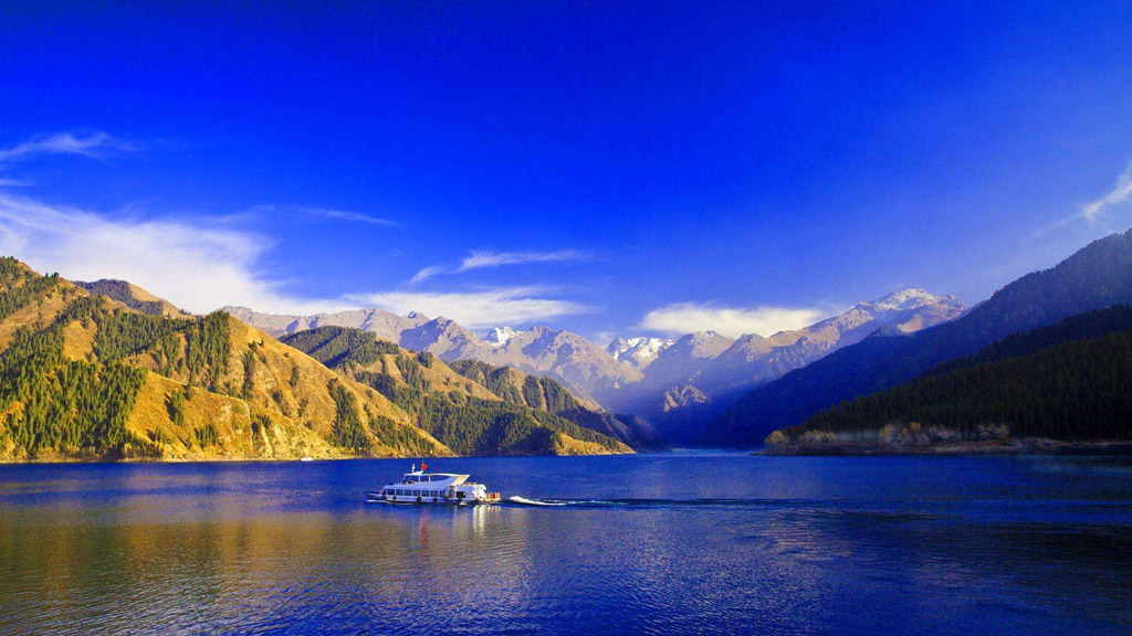 特殊符号，各种字母数字符号大全 - 𝐓𝐢𝟑𝟔博客