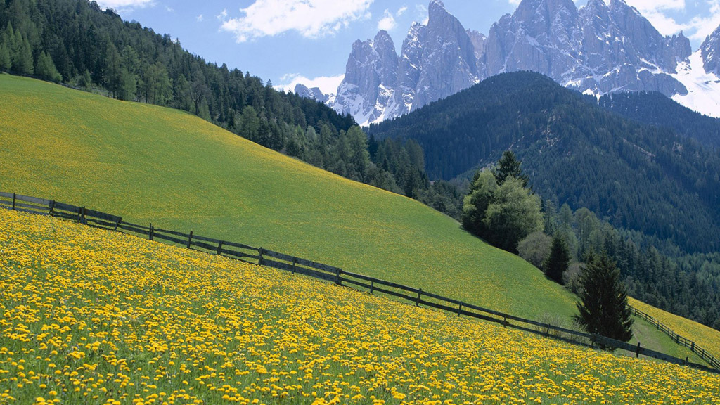 精美好看的用户致歉信HTML单页源码-ti004